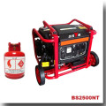 BISON (CHINA) Fabrik Benzin LPG Zwei-In-One LPG Gas Generator Preis